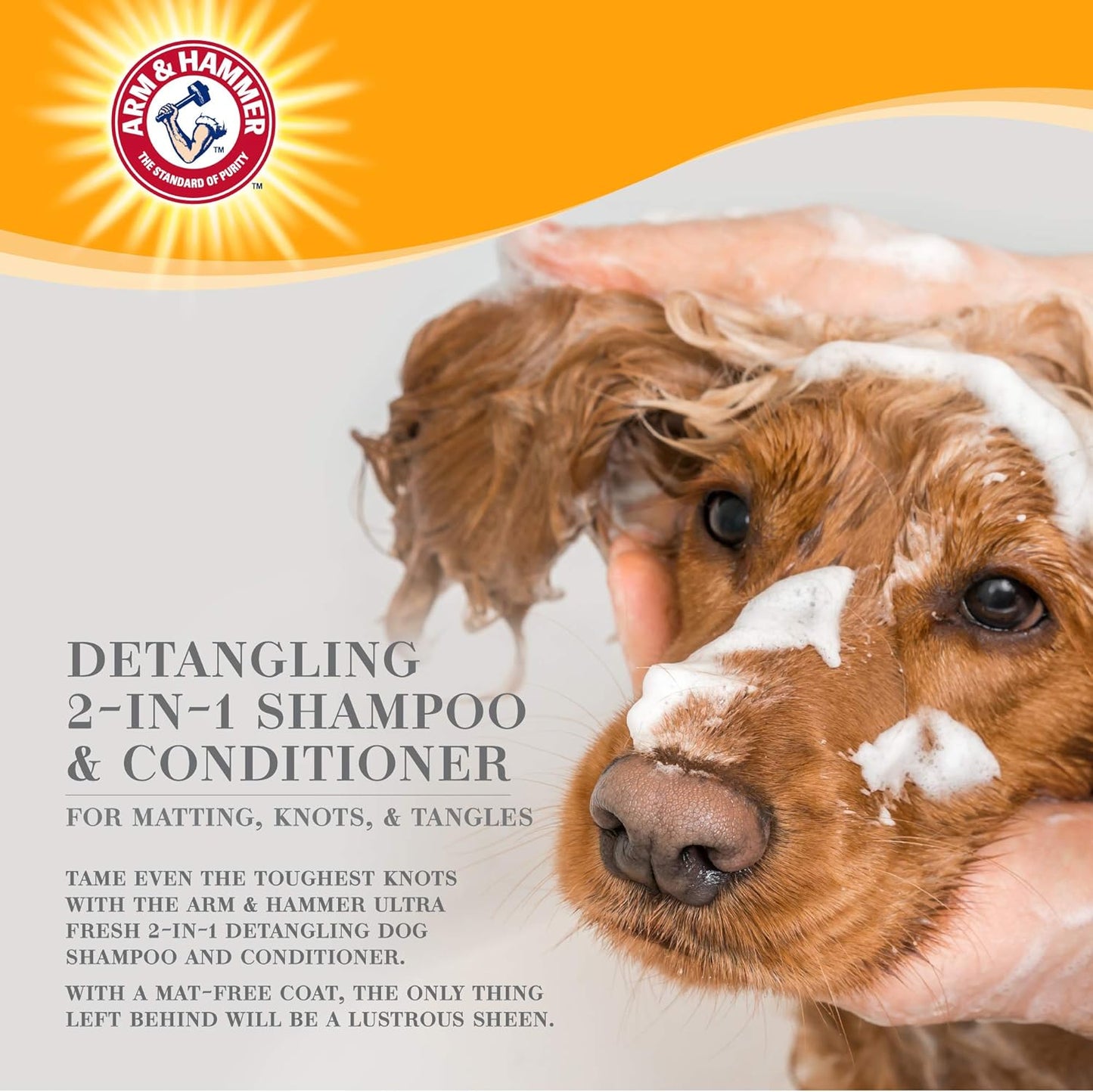 Ultra Fresh 2-In-1 Detangling Shampoo + Conditioner, Cucumber Pear Scent - Dog Bathing with Coconut Oil, Baking Soda for Odor Control, Pet Grooming Supplies, 16 Fl Oz