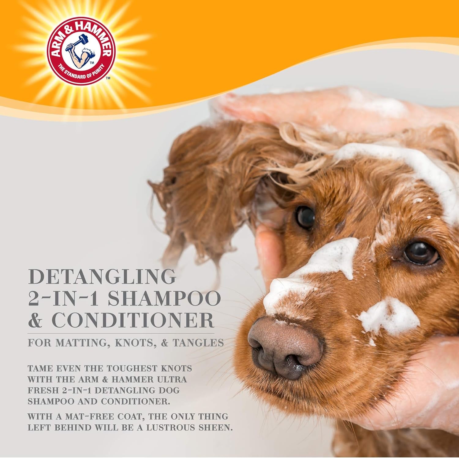 Ultra Fresh 2-In-1 Detangling Shampoo + Conditioner, Cucumber Pear Scent - Dog Bathing with Coconut Oil, Baking Soda for Odor Control, Pet Grooming Supplies, 16 Fl Oz