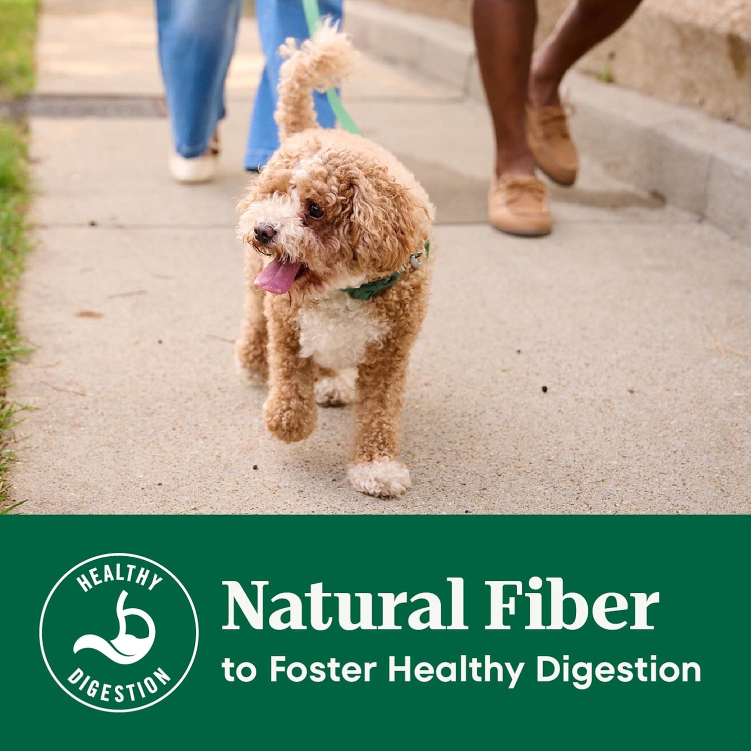 Natural Choice Chicken & Brown Rice Adult Small Bites Dog Food Recipe, 13 Lb. Bag