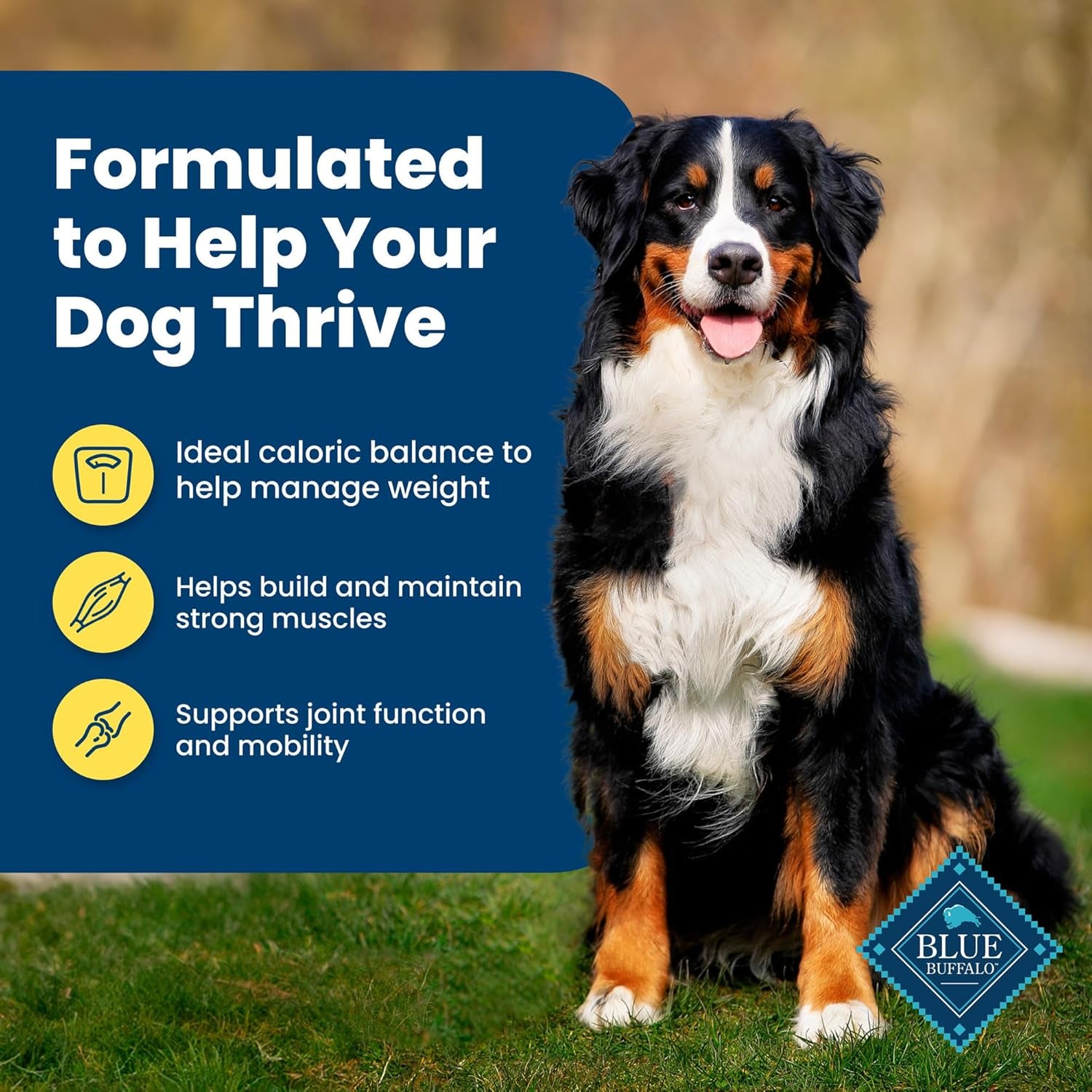 Life Protection Formula Healthy Weight Adult Dry Dog Food, Supports an Ideal Weight, Made with Natural Ingredients, Chicken & Brown Rice Recipe, 30-Lb Bag