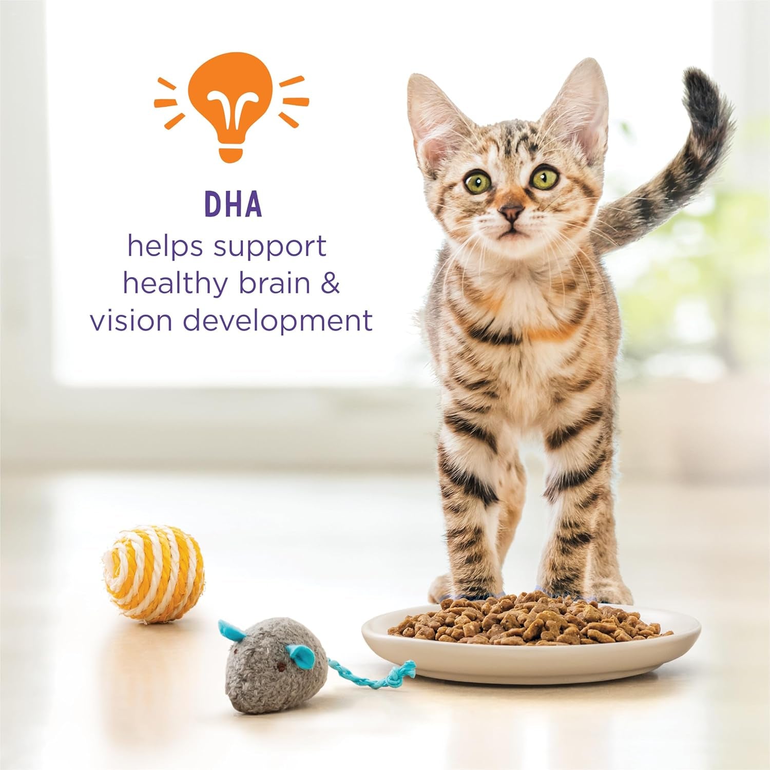 Purina Kitten Chow 14Lb