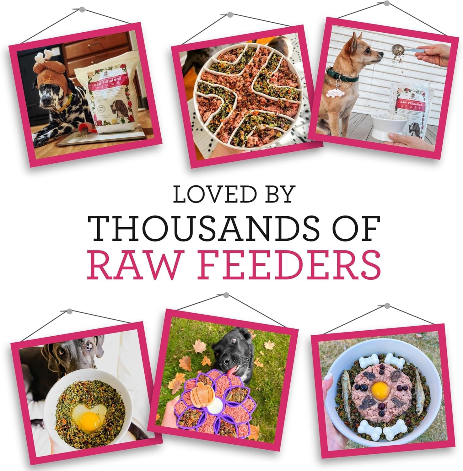 Raw Vibrance Grain Free Dehydrated Foundation for Raw Diet Dog Food (6 Pounds)