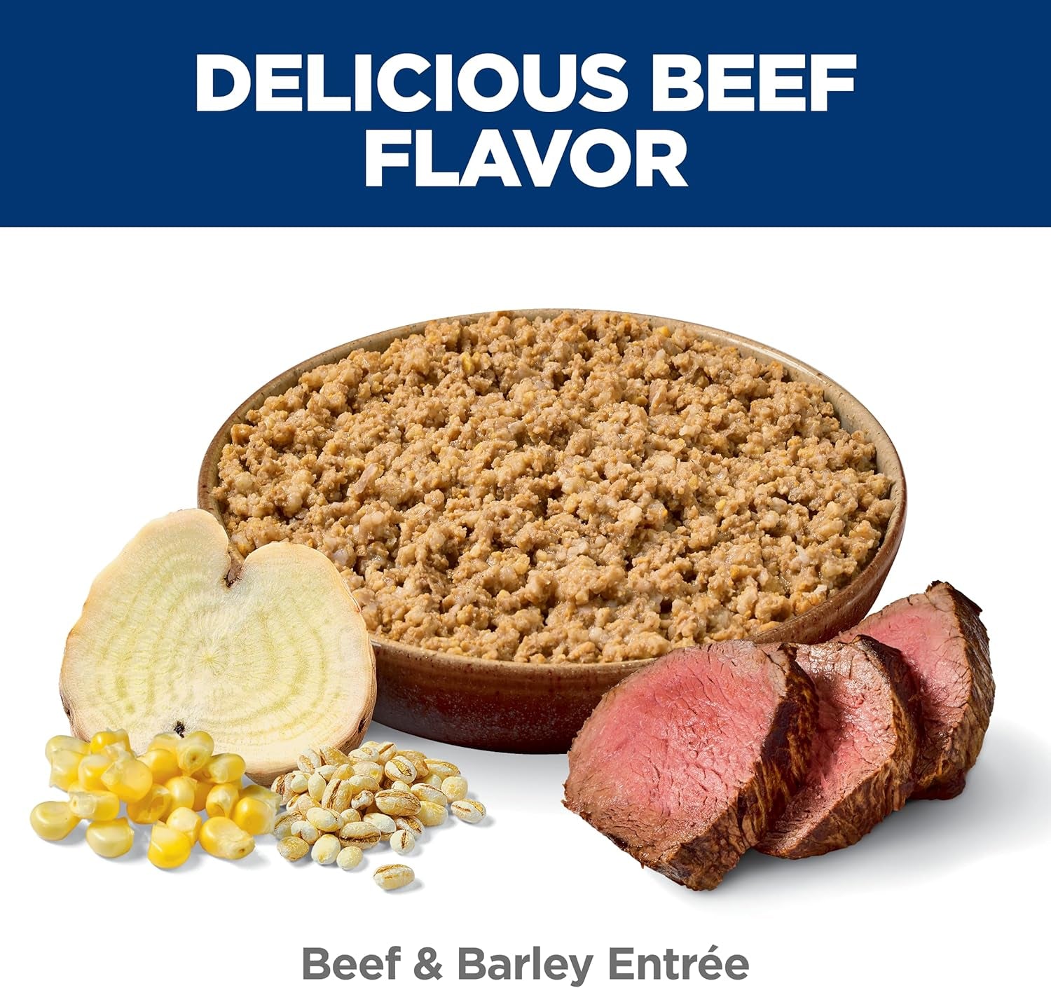 Adult 7+, Senior Adult 7+ Premium Nutrition, Wet Dog Food, Beef & Barley Loaf, 13 Oz Can, Case of 12