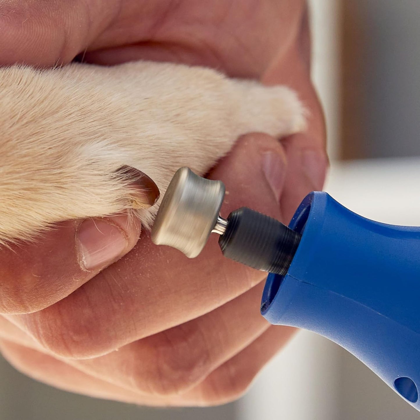 416HP Diamond-Coated Rotary Nail Grinder Bit - Ideal for Dog Nail Grooming, Gentle with Precise Control