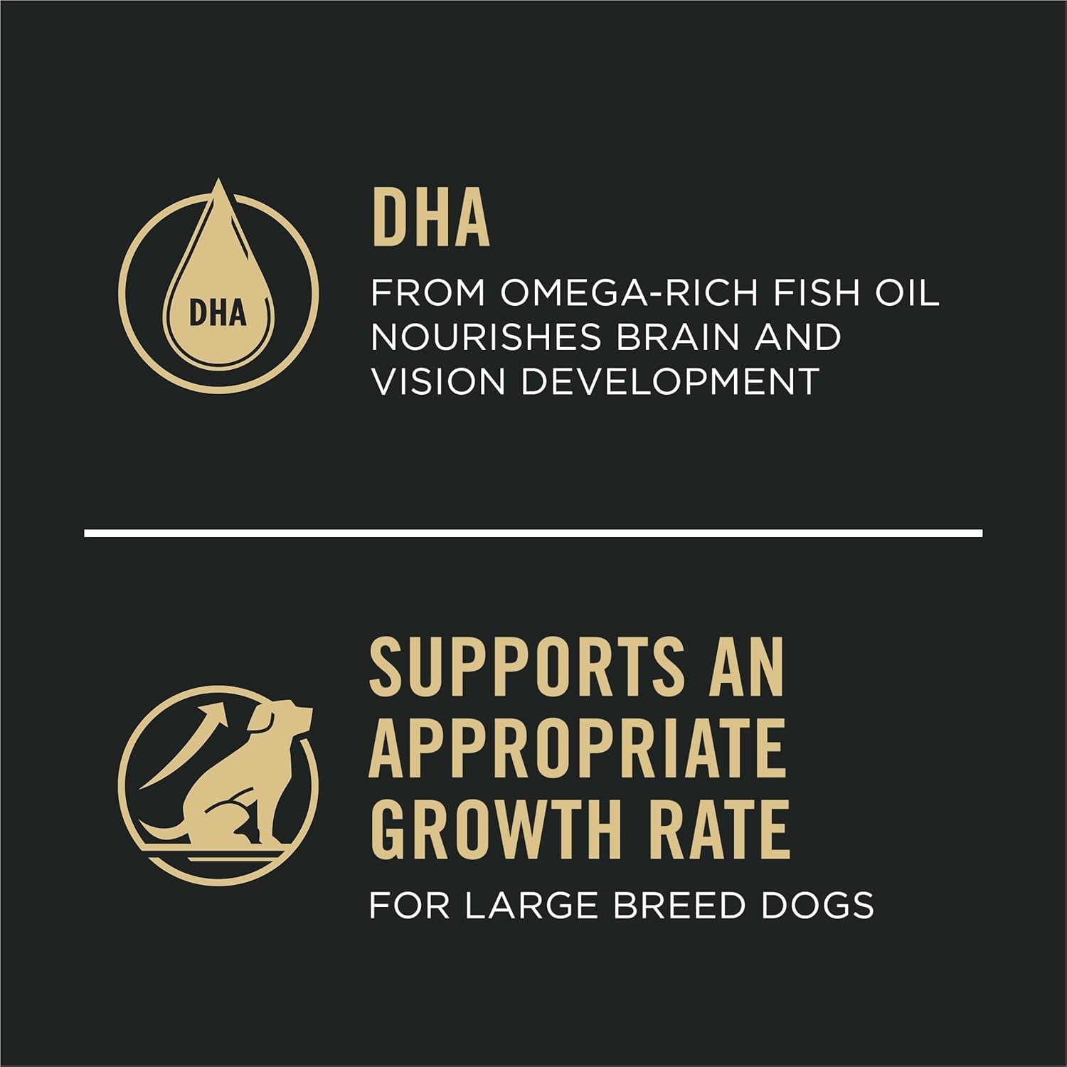 Sensitive Skin and Stomach Large Breed Puppy Food Salmon and Rice Formula - 24 Lb. Bag