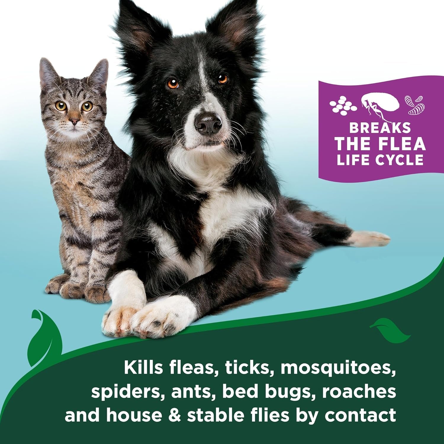 Natural Cat Flea & Tick Home Spray – Natural Plant-Based Pest Control with Cotton Spice Scent – Indoor Mist Flea Treatment for Cats – Safe & Gentle Formula Made in USA – 32 Oz