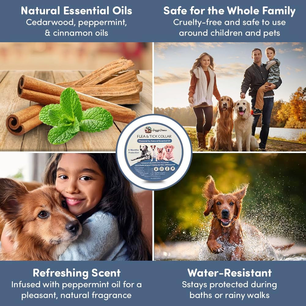 Natural Flea & Tick Collar for Dogs & Cats – 8 Months Protection – Essential Oils, Waterproof, Adjustable up to 27” – Chemical-Free, Safe for Puppies, Kittens & Sensitive Pets