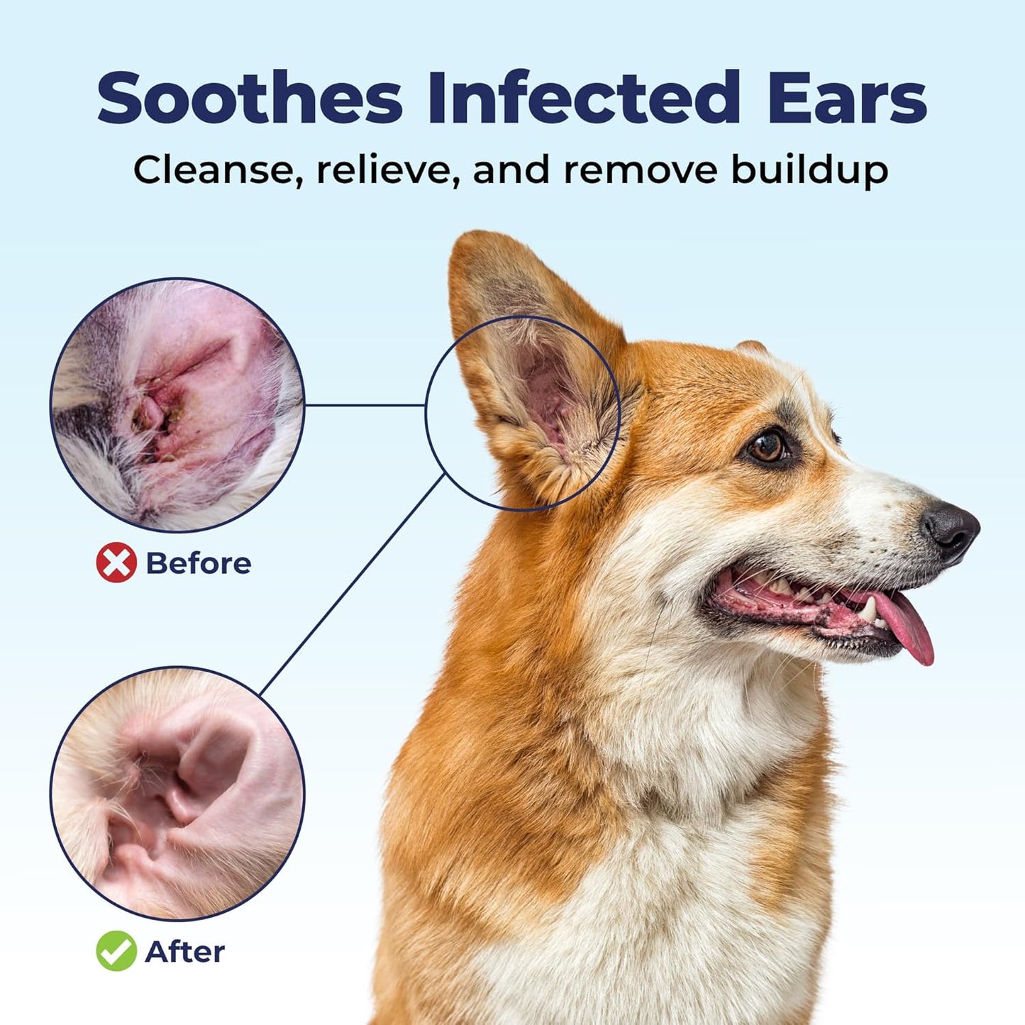 Oticbliss Medicated Dog Ear Infection Treatment, Antiseptic Ear Cleaner for Cat & Dog Ear Cleaning Solution with Chlorhexidine & Ketoconazole (12Oz Flush)