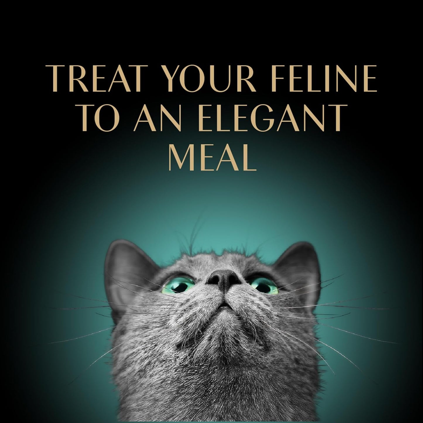 Perfect Portions Wet Cat Food Pate Roasted Turkey Entree, 2.6 Oz. Twin-Pack Trays (24 Count, 48 Servings)