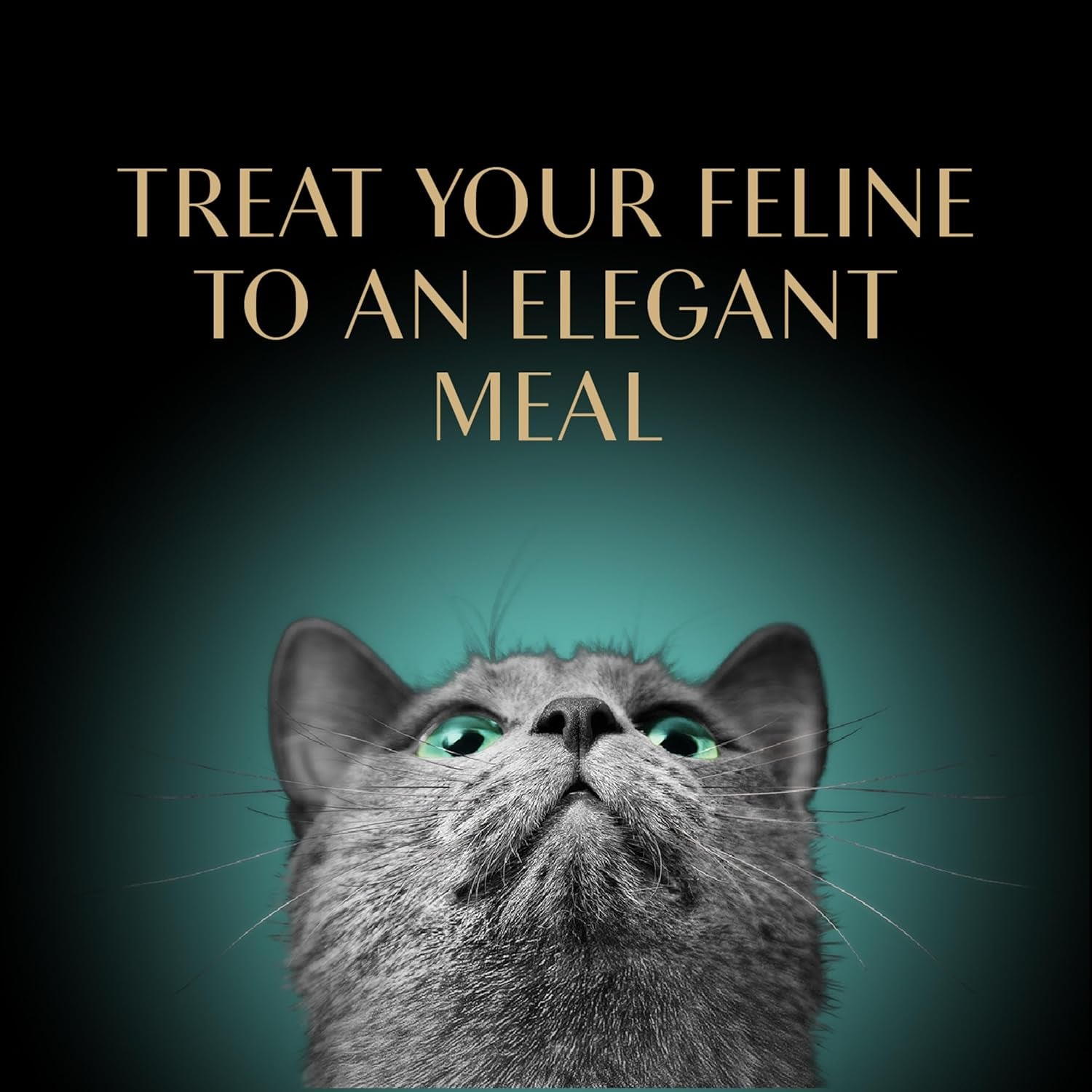 Perfect Portions Wet Cat Food Pate Roasted Turkey Entree, 2.6 Oz. Twin-Pack Trays (24 Count, 48 Servings)