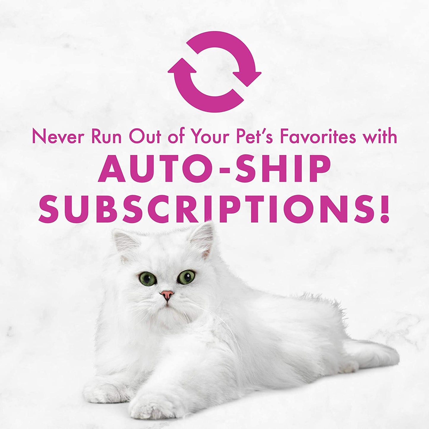 Purina  Salmon Feast Classic Grain Free Wet Cat Food Pate - (Pack of 24) 3 Oz. Cans