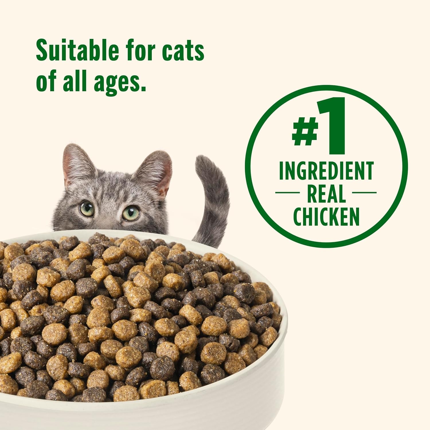 Premium Natural Dry Cat Food, Real Chicken & Brown Rice Recipe, 14 Pounds (Packaging May Vary), (Rachael Ray )
