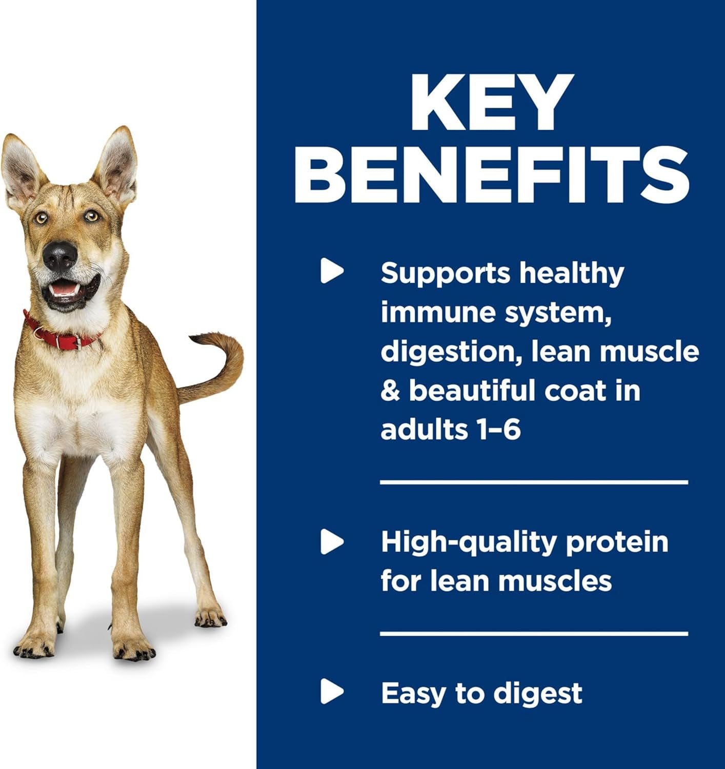 Adult 1-6, Adult 1-6 Premium Nutrition, Wet Dog Food, Chicken & Vegetables Stew, 12.8 Oz Can, Case of 12