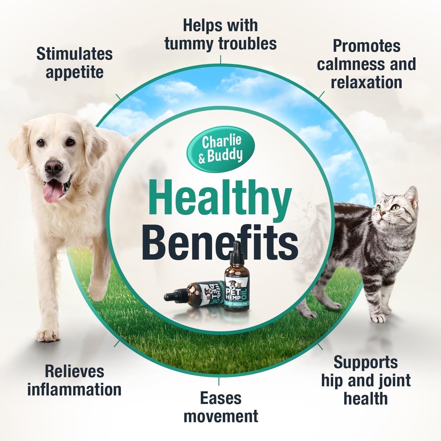 Hemp Оil for Dogs Cats - Helps Pets with Аnxiеty, Pаin, Strеss, Slееp, Аrthritis, Sеizures Rеlief - Нiр Jоint Hеalth - Cаlming Trеats