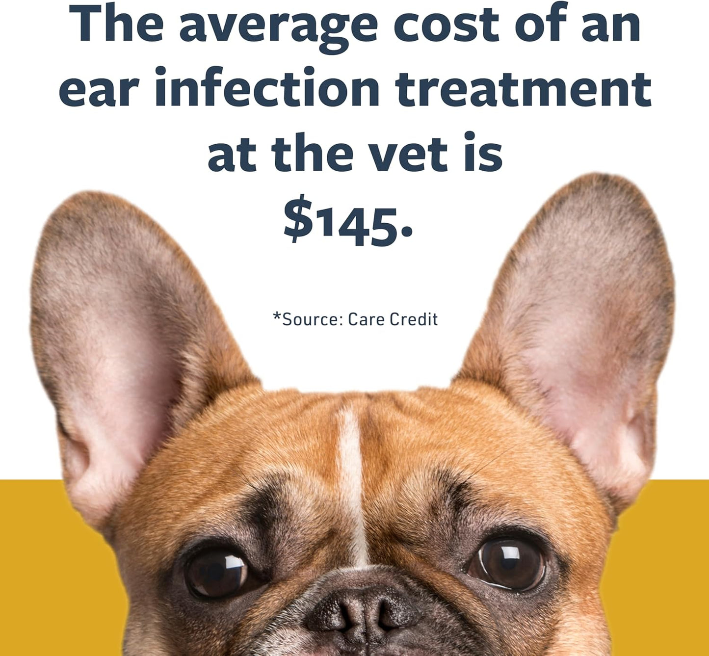 Clinical Care Ear Therapy, 8 Oz. – Cat and Dog Ear Cleaner – Helps Soothe Itchiness and Clean the Ear Canal of Debris and Buildup