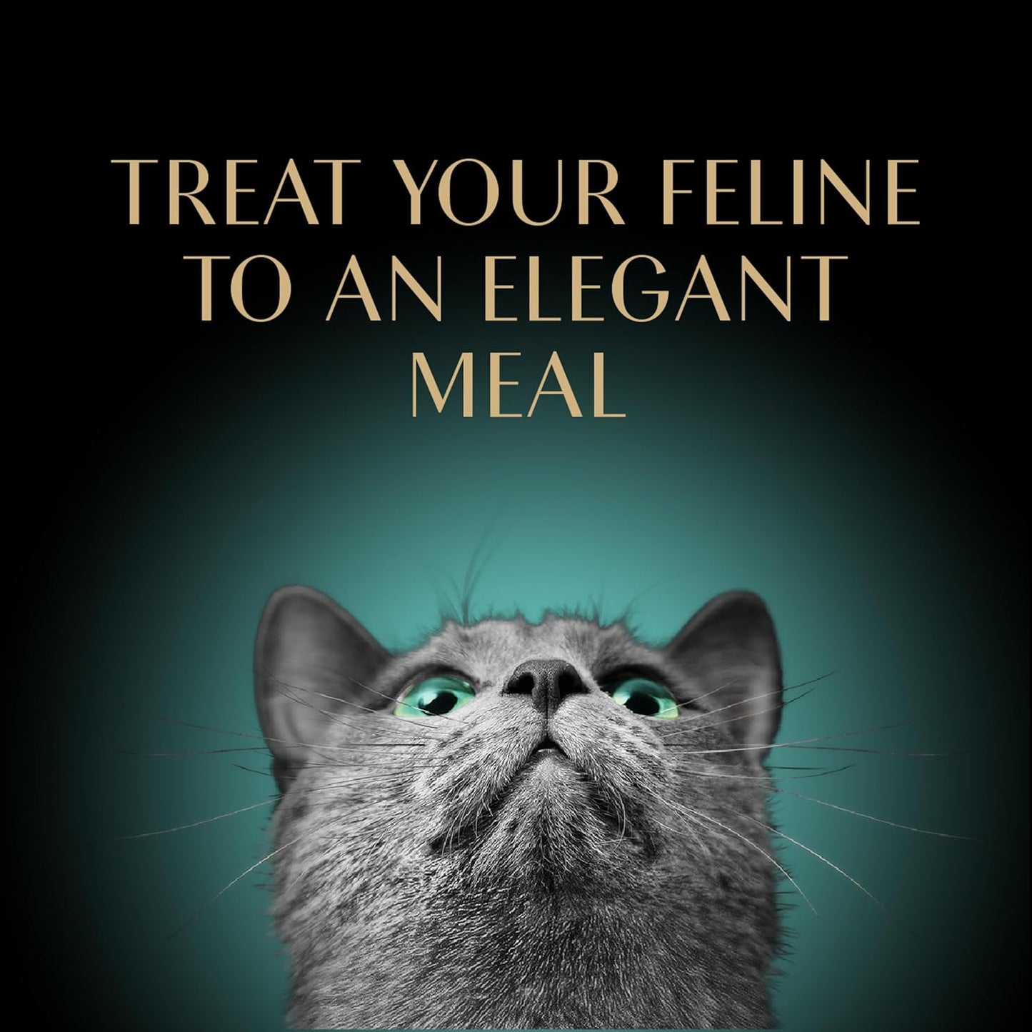 Perfect Portions Wet Cat Food Pate Tender Whitefish and Tuna Entree, 2.6 Oz. Twin-Pack Trays (24 Count, 48 Servings)