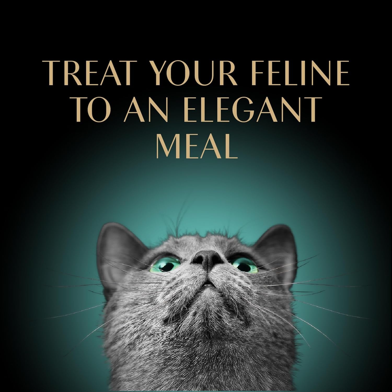 Perfect Portions Wet Cat Food Pate Tender Whitefish and Tuna Entree, 2.6 Oz. Twin-Pack Trays (24 Count, 48 Servings)