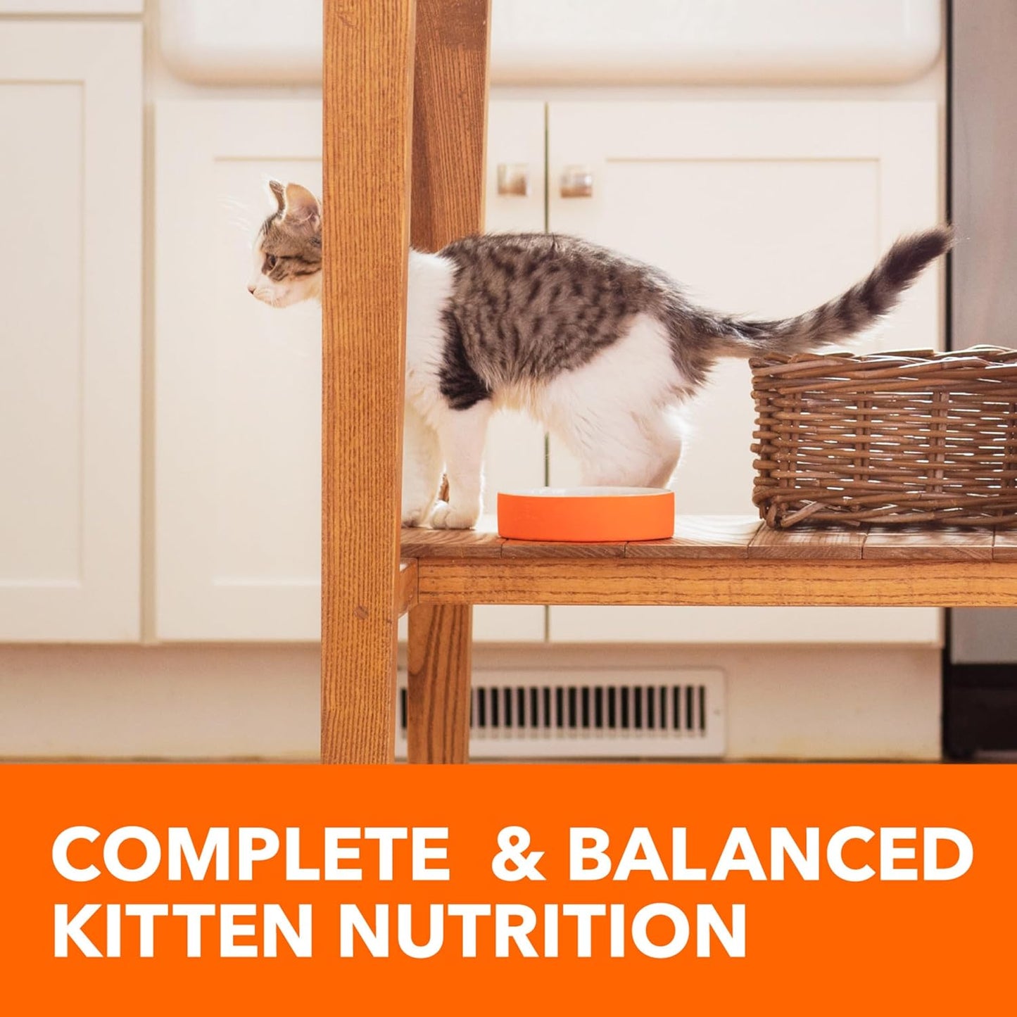 Proactive Health Healthy Kitten Dry Cat Food with Chicken, 7 Lb. Bag