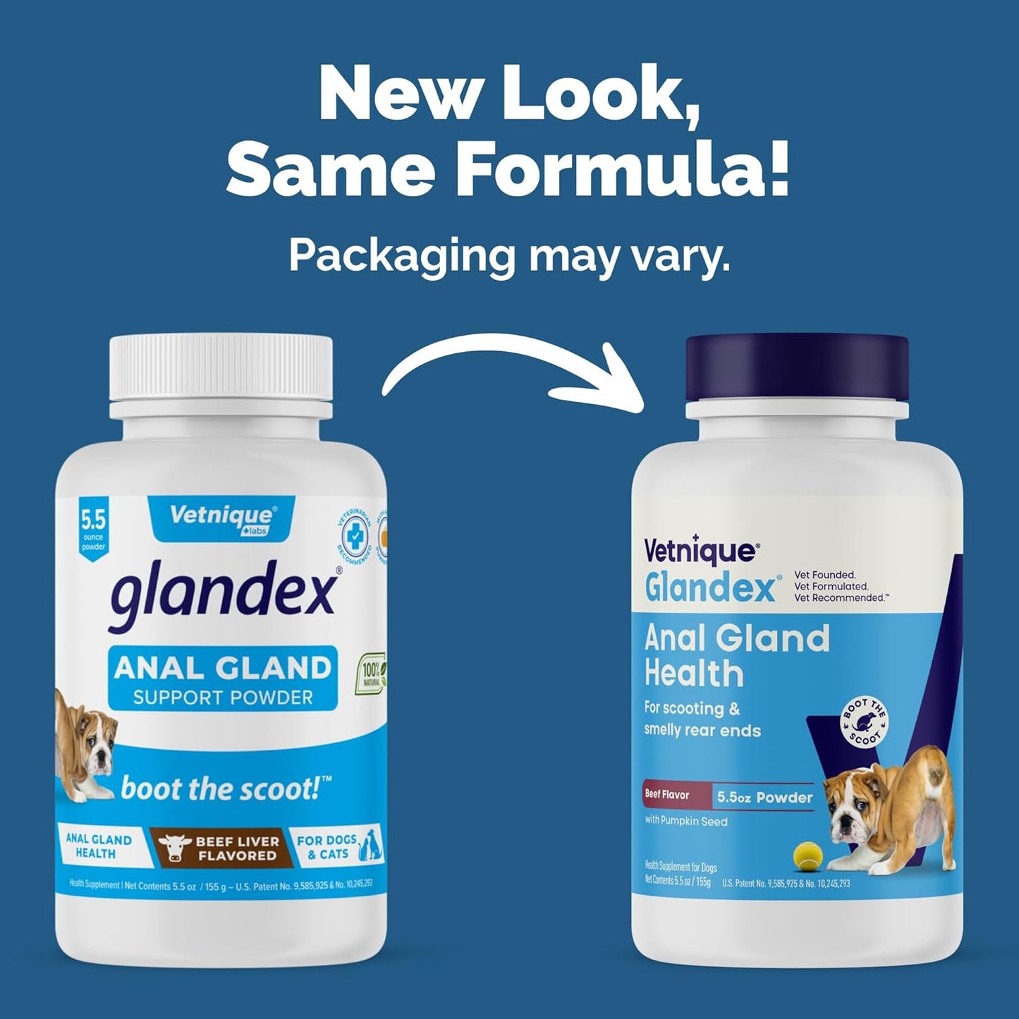 Glandex Dog Fiber Supplement Powder for Anal Glands with Pumpkin, Digestive Enzymes & Probiotics - Vet Recommended (Regular or Advanced Strength) - Boot the Scoot (5.5Oz Powder, Beef Liver)