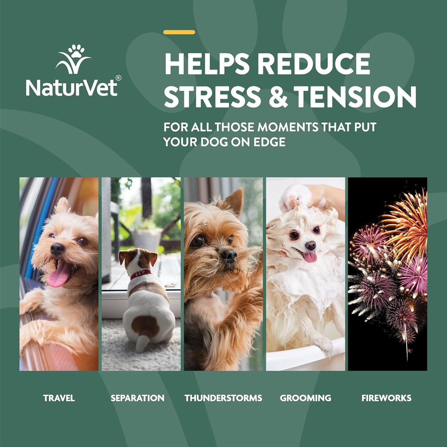Quiet Moments Calming Aid Dog Supplement, Helps Promote Relaxation, Reduce Stress, Storm Anxiety, Motion Sickness for Dogs (Quiet Moments plus Hemp, 180 Soft Chews)