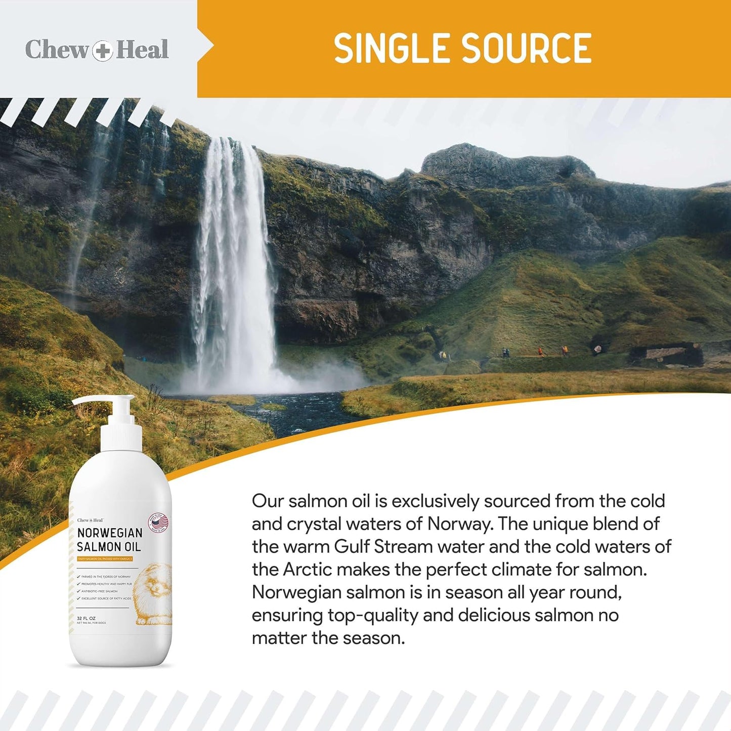 Salmon Oil for Dogs - Premium Fish Oil for Skin and Coat Health - Omega 3 Supplement - Supports Itchy Skin - 8 Oz Liquid - Norwegian Dog Salmon Oil - Essential Dog Supplement