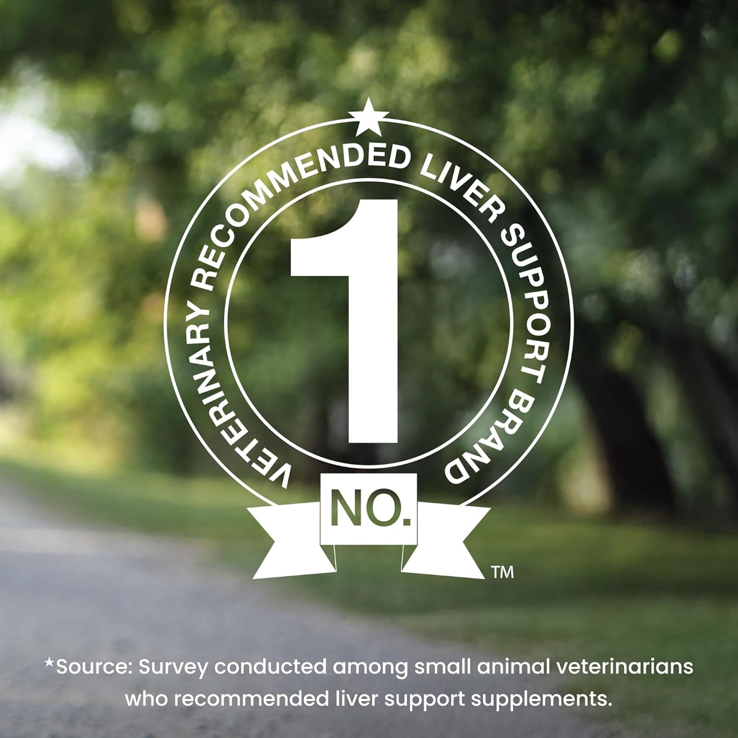 Denamarin Liver Health Supplement for Large Dogs - with S-Adenosylmethionine (Same) and Silybin, 30 Tablets(Pack of 1)