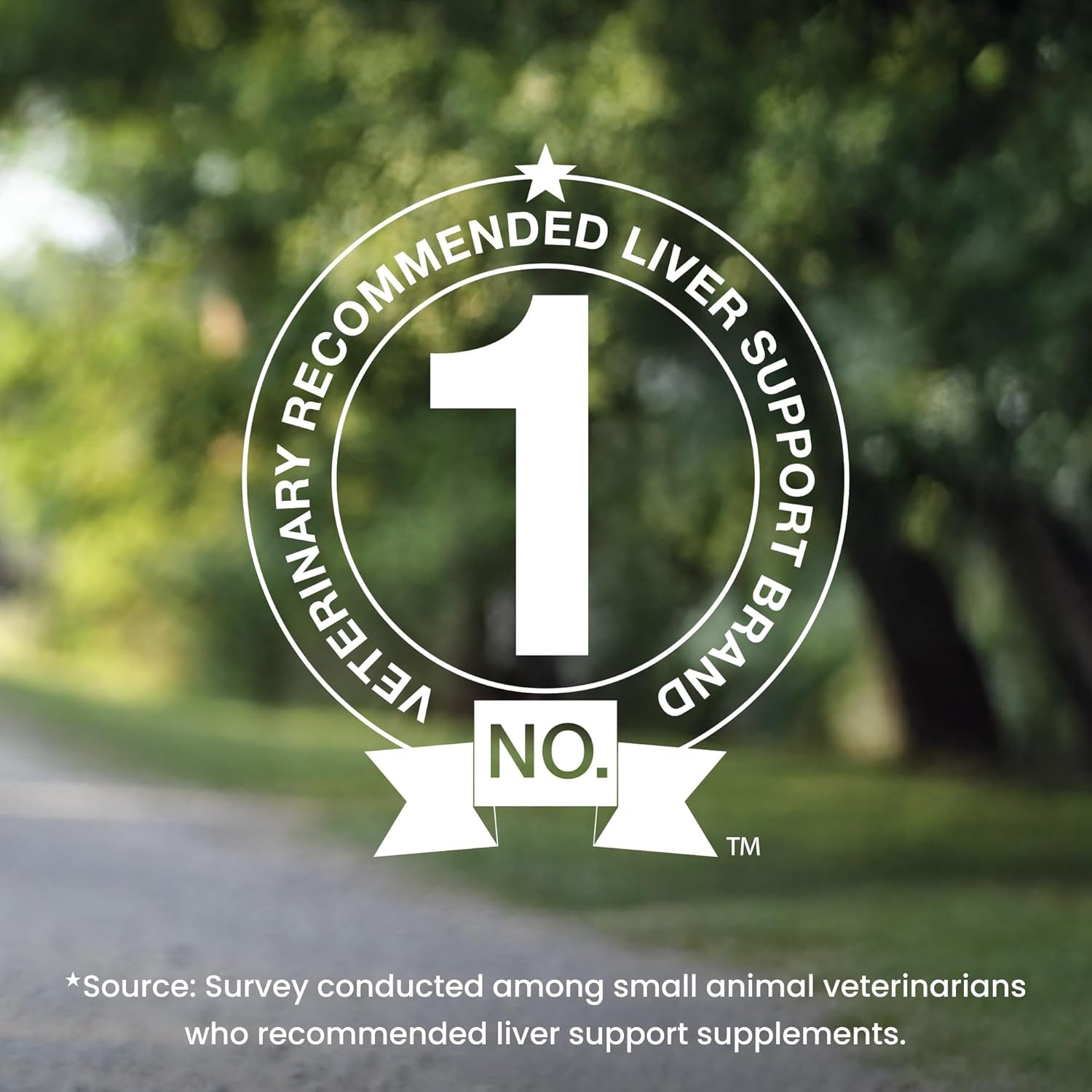 Denamarin Liver Health Supplement for Large Dogs - with S-Adenosylmethionine (Same) and Silybin, 30 Tablets(Pack of 1)