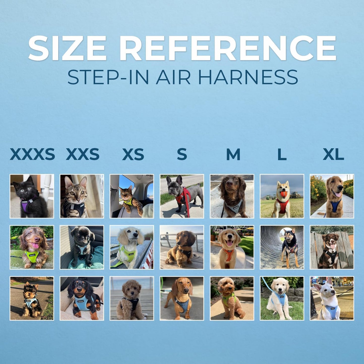 Voyager Step-In Air Dog Harness - All Weather Mesh, Reflective, No Pull Harness for Small, Medium Dogs, Cats - Secure with Hook & Loop Fastener, Buckle, Double D-Rings - Black, M