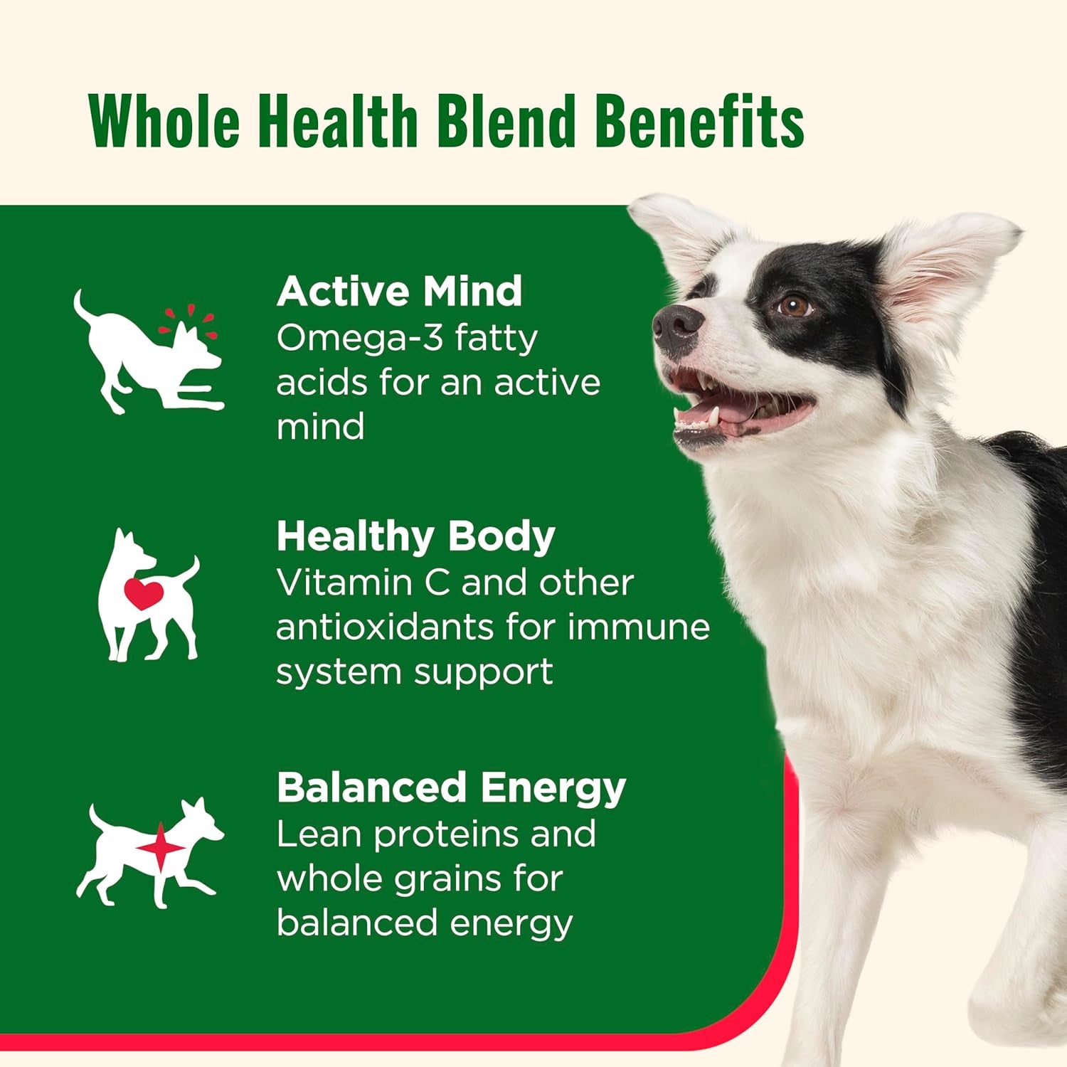 Gentle Digestion and Whole Health Blend Premium Paté Variety Pack Wet Dog Food, 13 Oz. Can, Pack of 12, Packaging May Vary (Rachael Ray)