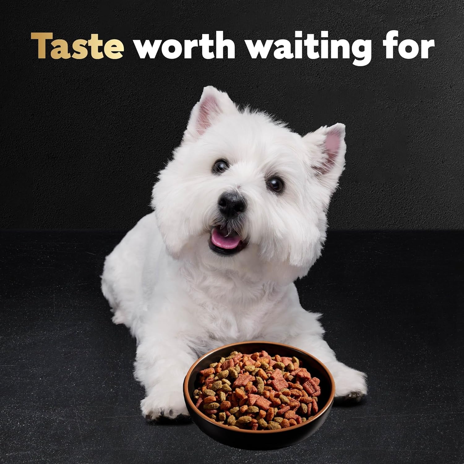 Small Breed Dry Dog Food Porterhouse Flavor and Spring Vegetables Garnish, 5 Lb. Bag