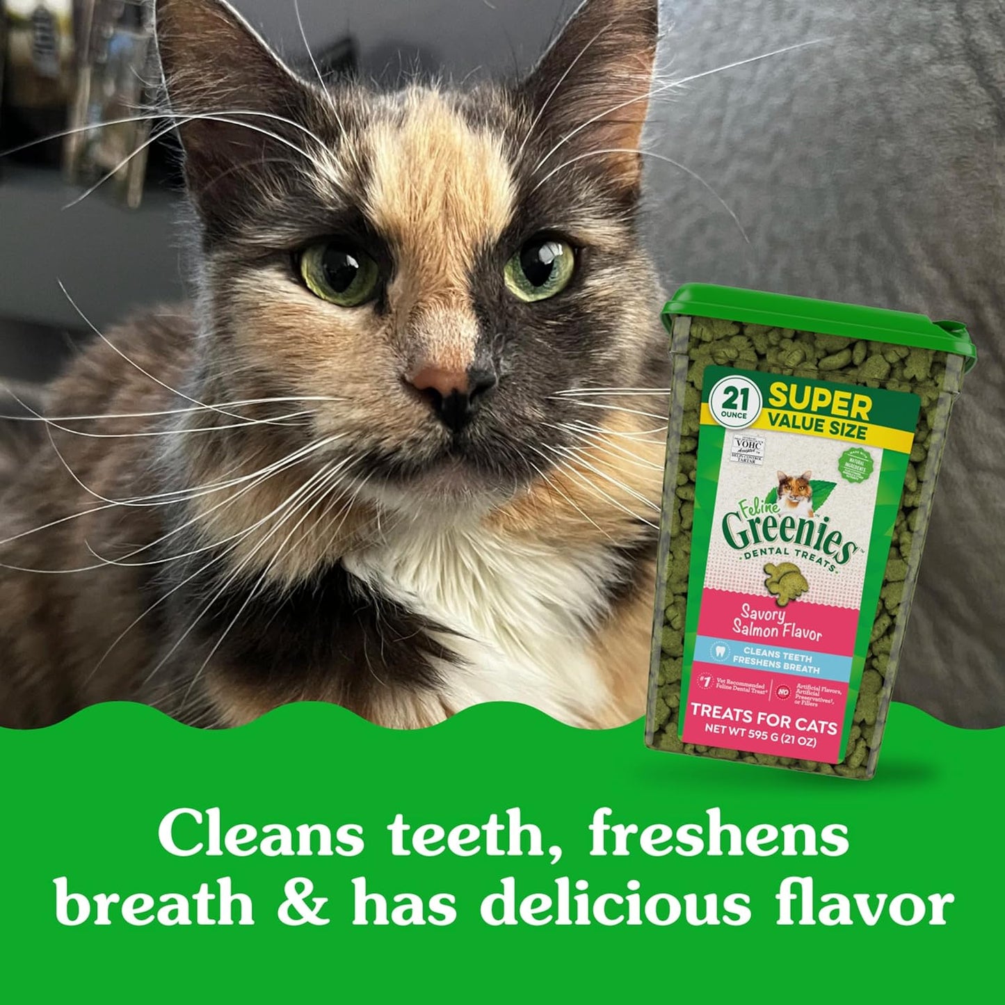 Feline Adult Dental Cat Treats, Savory Salmon Flavor, 21 Oz. Tub