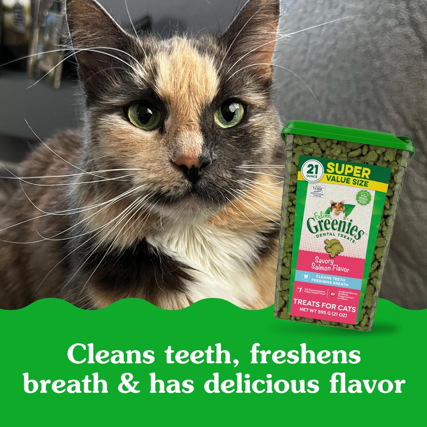Feline Adult Dental Cat Treats, Savory Salmon Flavor, 21 Oz. Tub