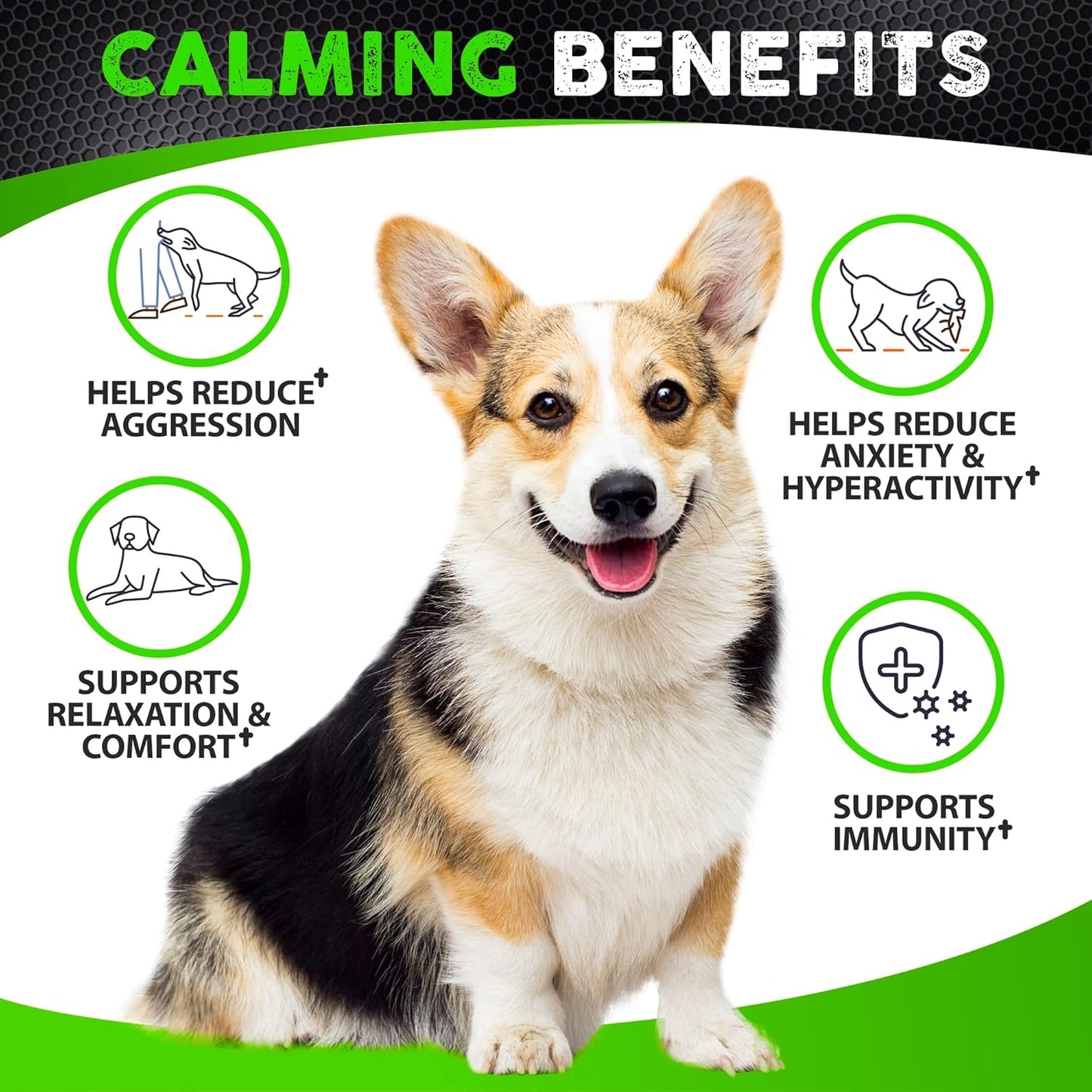 Hemp Calming Chews for Dogs Anxiety - 170 Dog Calming Chews - Anxiety Relief Treats - Dog Calming Treats - Hemp Oil - Sleep Calming Aid - Advanced Calming Health Joint Support Supplement - Made in USA