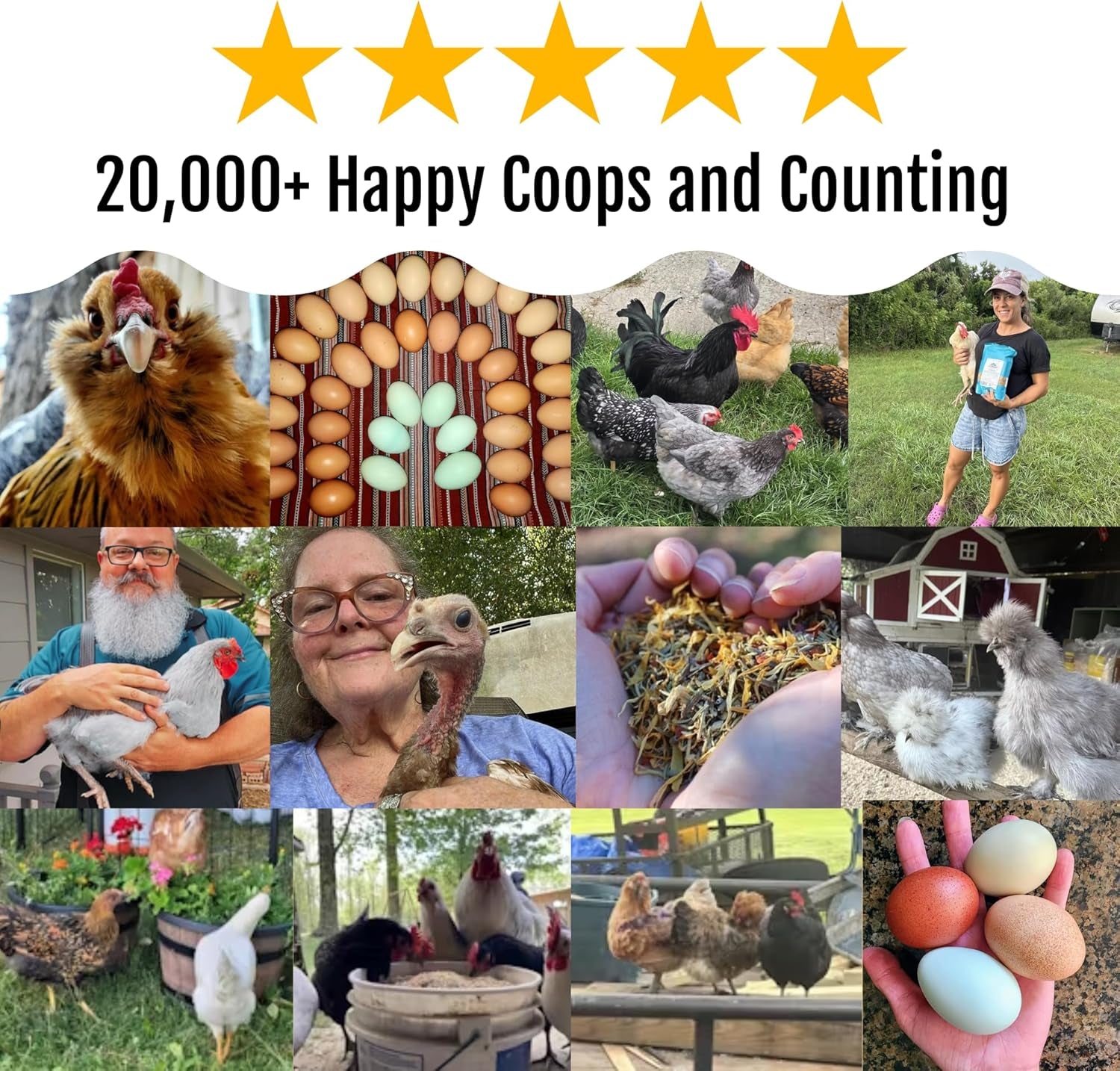 Herb Supplement for Backyard Chickens - Natural Chicken Treats, Poultry Feed Botanical Mix, Plant-Based Coop Snacks for Daily Wellness, Feather Quality, Egg Production, USA (12 Oz)