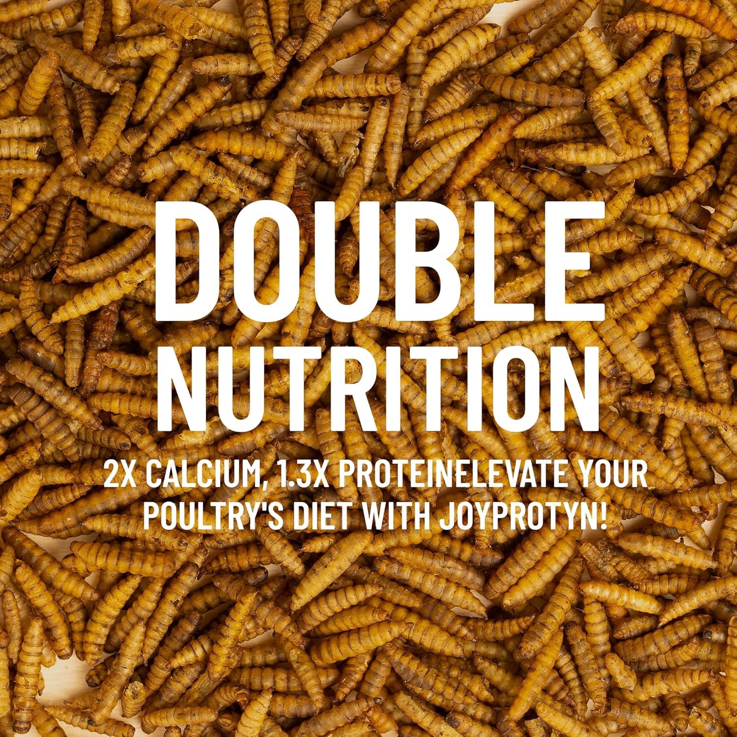 10LB Non-Gmo Dried Black Soldier Fly Larvae for Chicken – 85X More Calcium Grubs than Mealworms for Strong Eggshells & Healthy Growth - High Protein for Chickens, Birds, Ducks, Geese & Pets