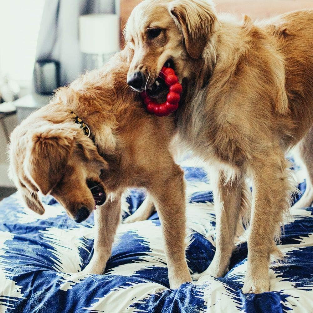 Ring - Natural Rubber Ring Toy for Healthy Chewing Habits - Chew Toy Supports Dog Dental Health - Dog Toy Supports Instincts during Playtime - for Small/Medium Dogs