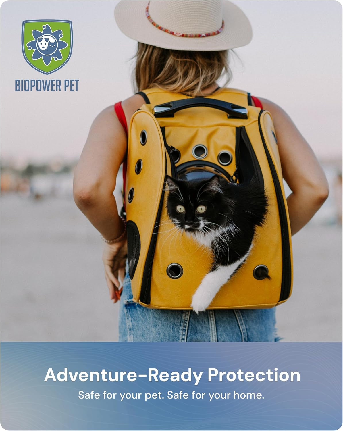 Natural Flea & Tick Repellent Collar Tag for Dogs & Cats –  Shield – Safe for Pets When Used as Directed – Lasts 1 Full Year (1Pack)