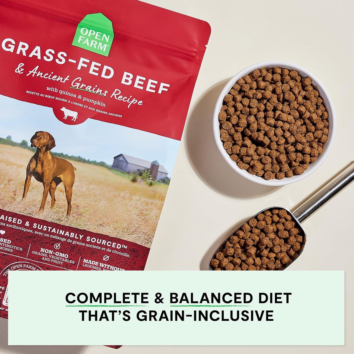 , Ancient Grains Dry Dog Food, Protein-Rich & Nutrient Dense, 90% Animal Protein Mixed with Non-Gmo Fruits, Veggies and Superfoods, Grass-Fed Beef Recipe, 22Lb Bag