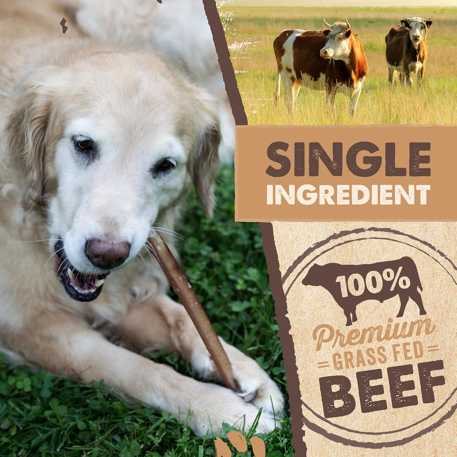 Long Lasting 12" Bully Sticks for Dogs - All Natural Grass Fed Beef Chews. Lower Odor Dog Bully Sticks for Large Dogs, Medium and Small Breeds. Single Ingredient Treats
