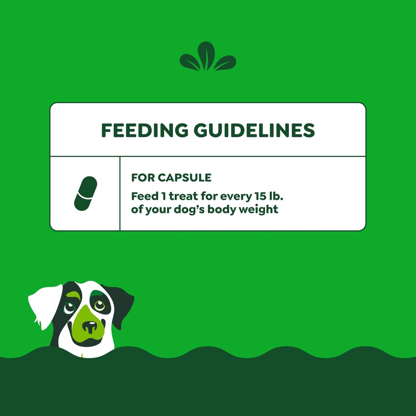 Pill Pockets for Dogs Large Size, Soft Dog Treats, Chicken Flavor, 15.8 Oz. Pouch (60 Treats)