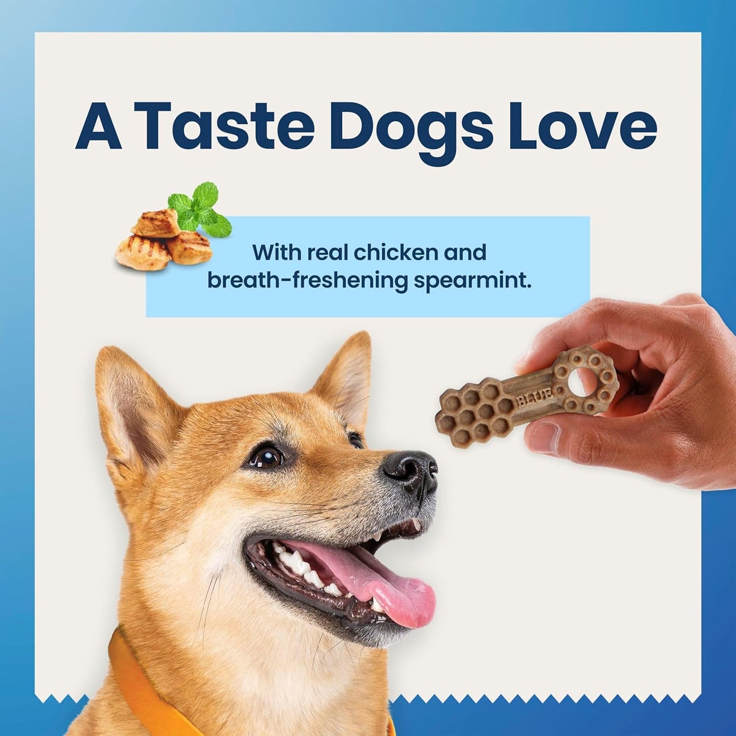 Dental Chews Medium Natural Dog Treats, Chicken & Spearmint 34.5-Oz Bag (42 Count)