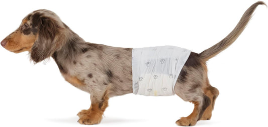 Absorbent, Leakproof Male Dog Wrap Disposable Diapers, Small, Pack of 50, White