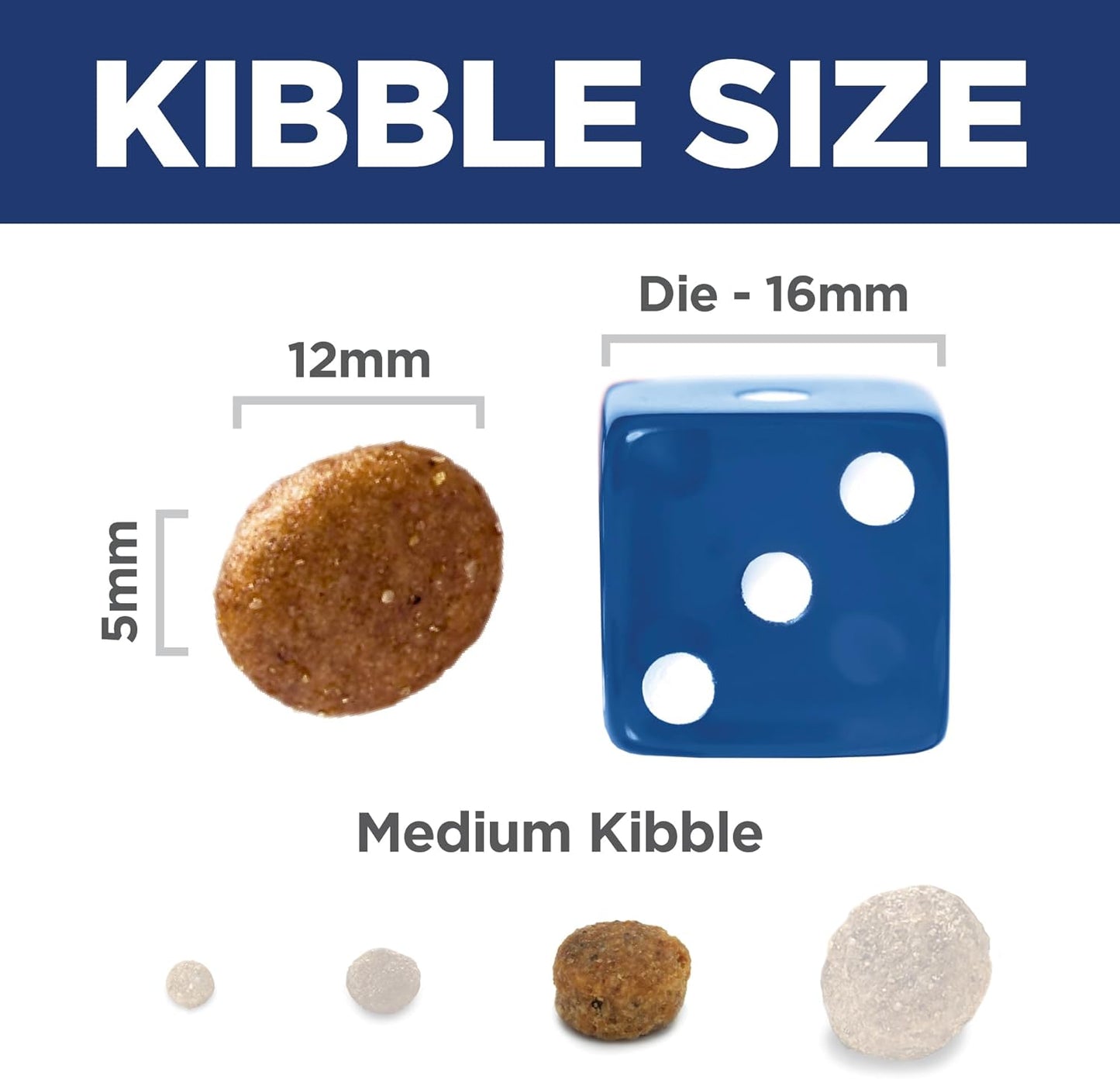 Adult 1-6, Adult 1-6 Premium Nutrition, Dry Dog Food, Salmon & Brown Rice, 14 Lb Bag