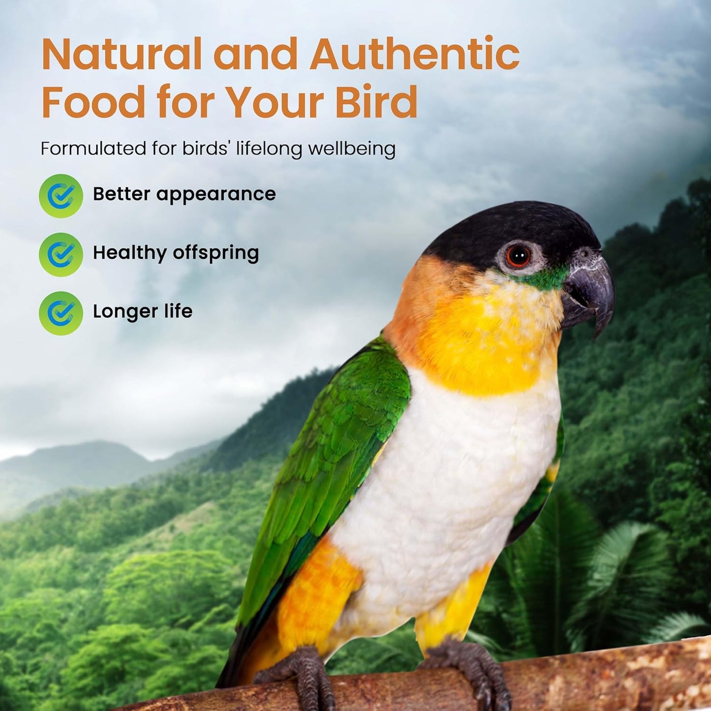 High Potency Fine Certified Organic Non GMO Formula Bird Food 1Lb