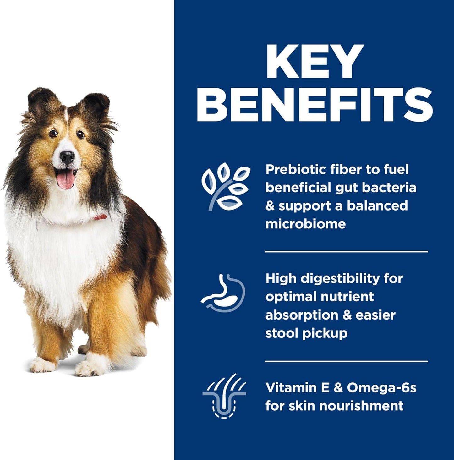 Sensitive Stomach & Skin, Adult 1-6, Stomach & Skin Sensitivity Support, Dry Dog Food, Chicken Recipe, 4 Lb Bag