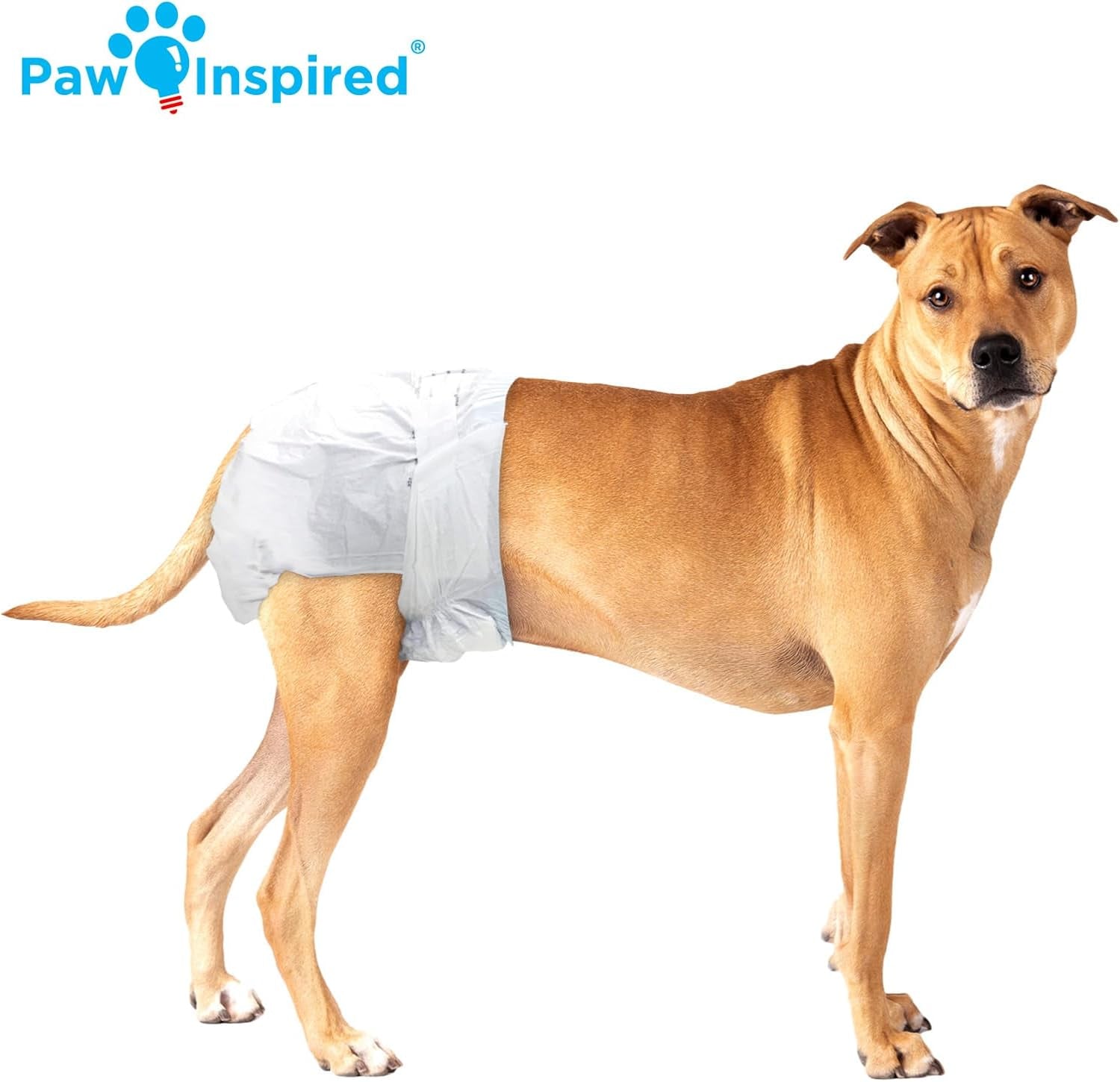 32Ct Disposable Dog Diapers | Female Dog Diapers Ultra Protection | Diapers for Dogs in Heat, Excitable Urination, or Incontinence (Medium Plus)