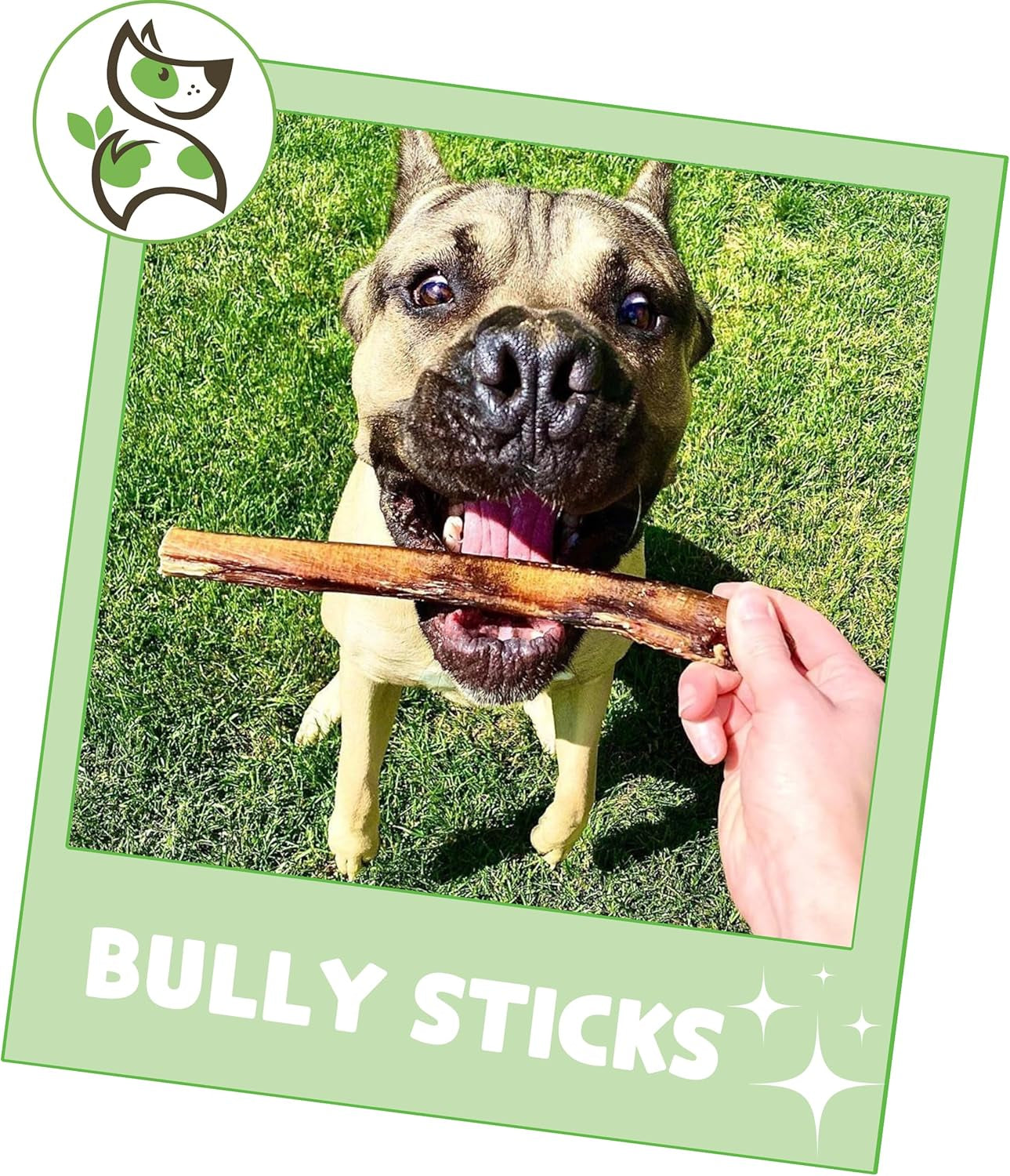 Bully Sticks for Dogs 5-6" (8Oz) - Mixed Thickness - Long Lasting for Aggressive Chewers and Large Dogs - Natural Beef Dog Chew Bones