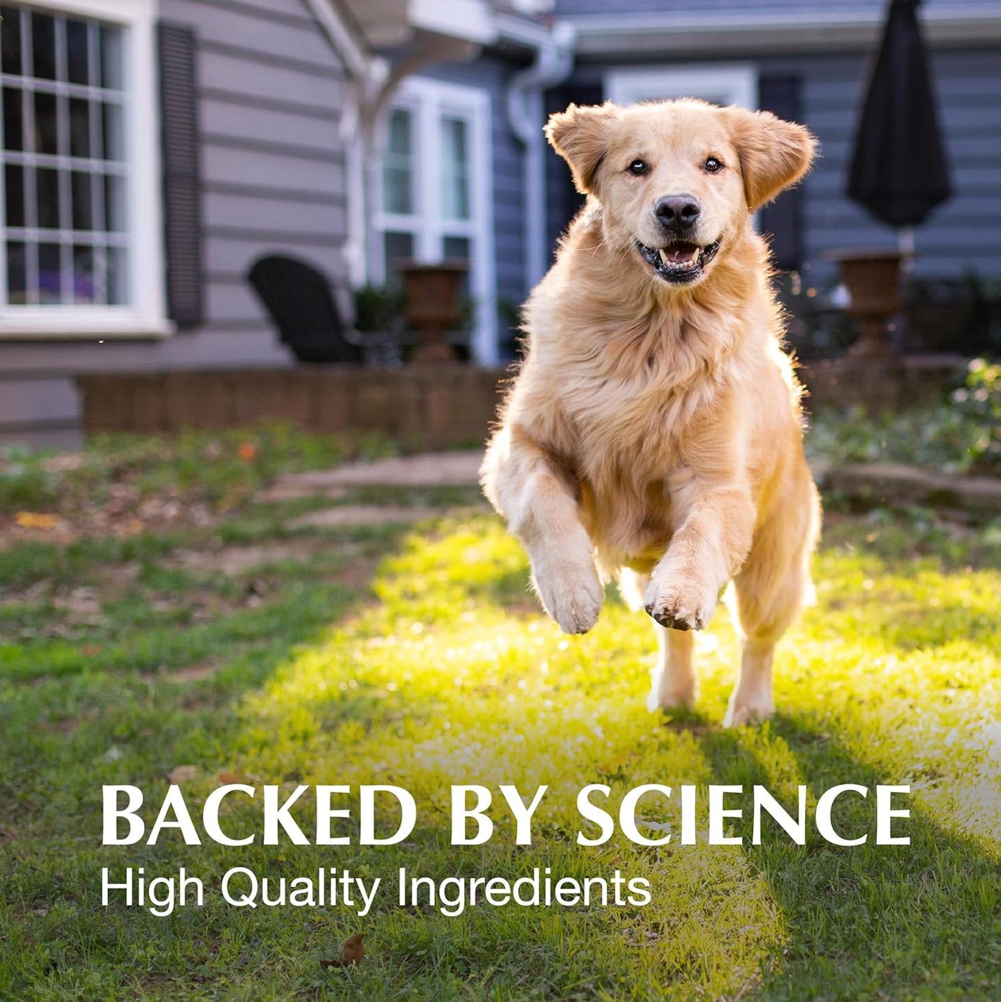 Crananidin Cranberry Extract Urinary Tract Health Supplement for Dogs, 75 Chewable Tablets