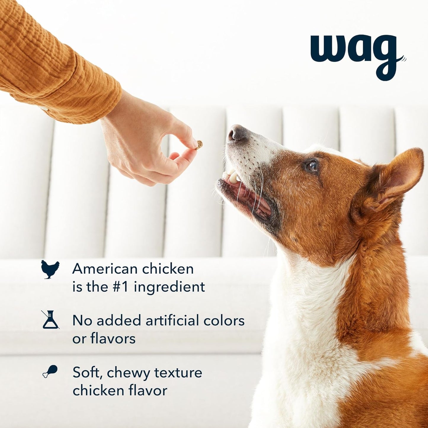 Amazon Brand –  Chicken Flavor Training Treats for Dogs, 2 Lb. Bag (32 Oz)