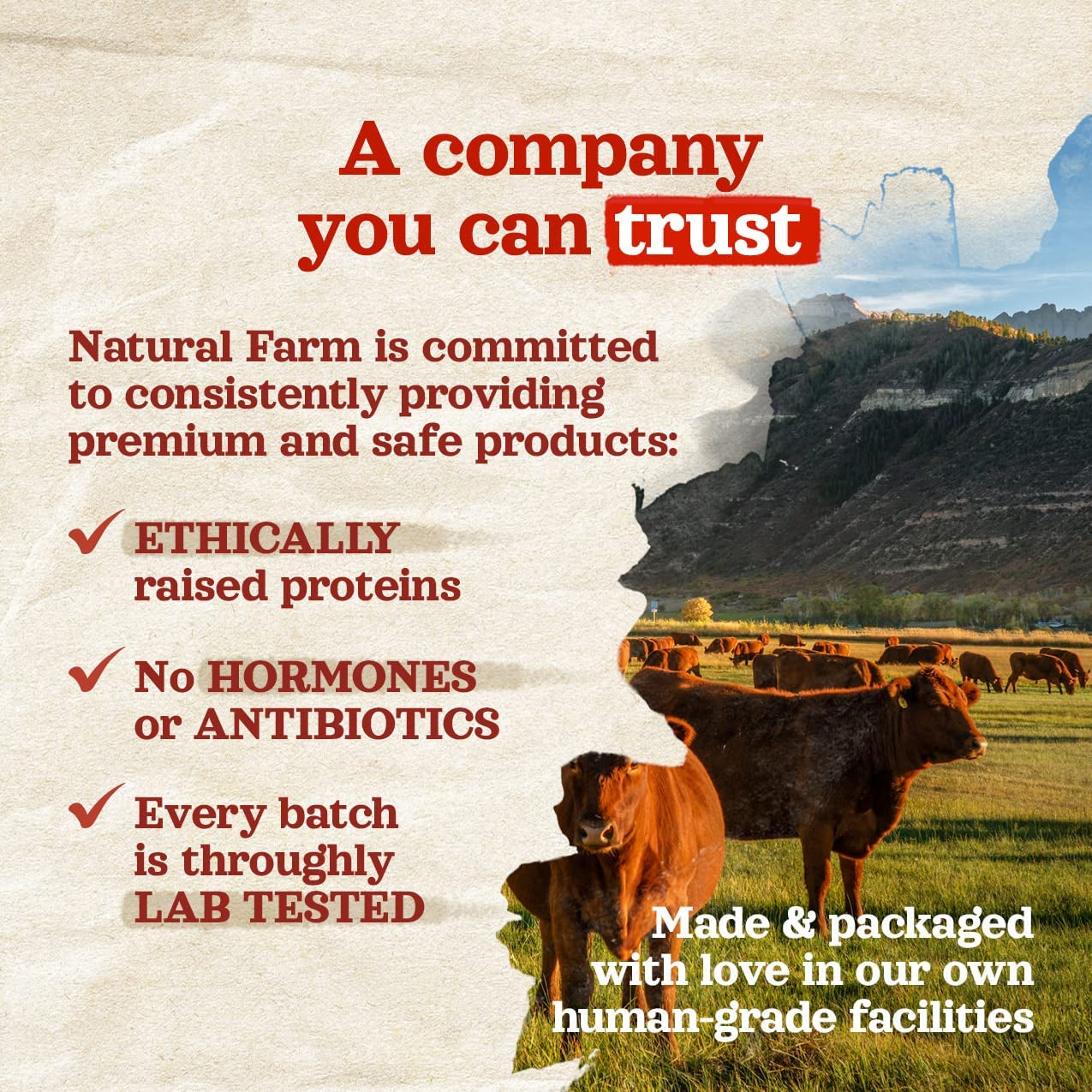 Odor Free Jumbo Bully Sticks (6 Inch, 12 Pack), Extra-Thick Dog Treats – Fully Digestible 100% Beef Treats, Natural Dental Chews – Keep Your Dog Busy with 50% Longer Lasting Chews